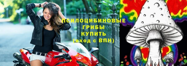 тгк Аркадак