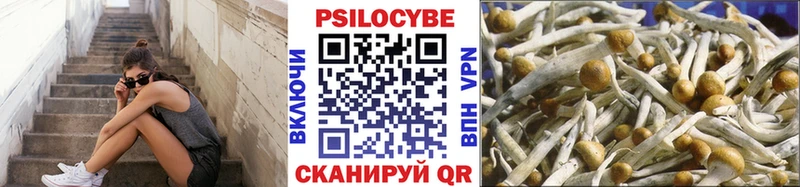 как найти закладки  МЕГА tor  Псилоцибиновые грибы MAGIC MUSHROOMS  Рудня 