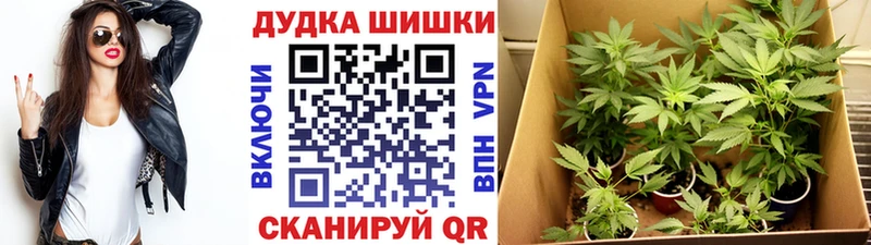 Бошки Шишки конопля Рудня